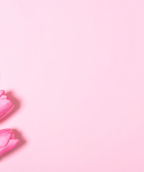 Pinke Tulpen auf pinkem Hintergrund.