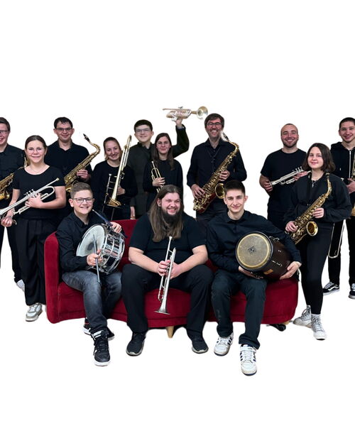 Zu sehen sind die Musikerinnen und Musiker der SchwörhausBigband.